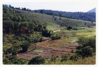 Ouro Verde Sitio Paraguai 1999 005