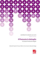 Contributo di Ricerca 267/2018. Il Piemonte in dettaglio. Gli Ambiti Territoriali Integrati, Rapporto Tirocinio