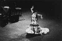 Il flamenco di Manolo Sanlùcar
