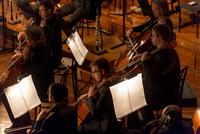 Orchestra e Coro del Teatro Regio diretti da Dante Anzolini nella rappresentazione di ''Akhnaten'' di Philip Glass