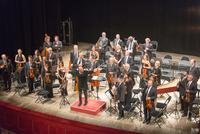 L'Orchestra I Pomeriggi Musicali suona Franz Joseph Haydn