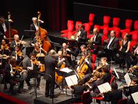 Orchestre des Champs-Elysées Collegium Vocale Gent. Philippe Herreweghe, direttore